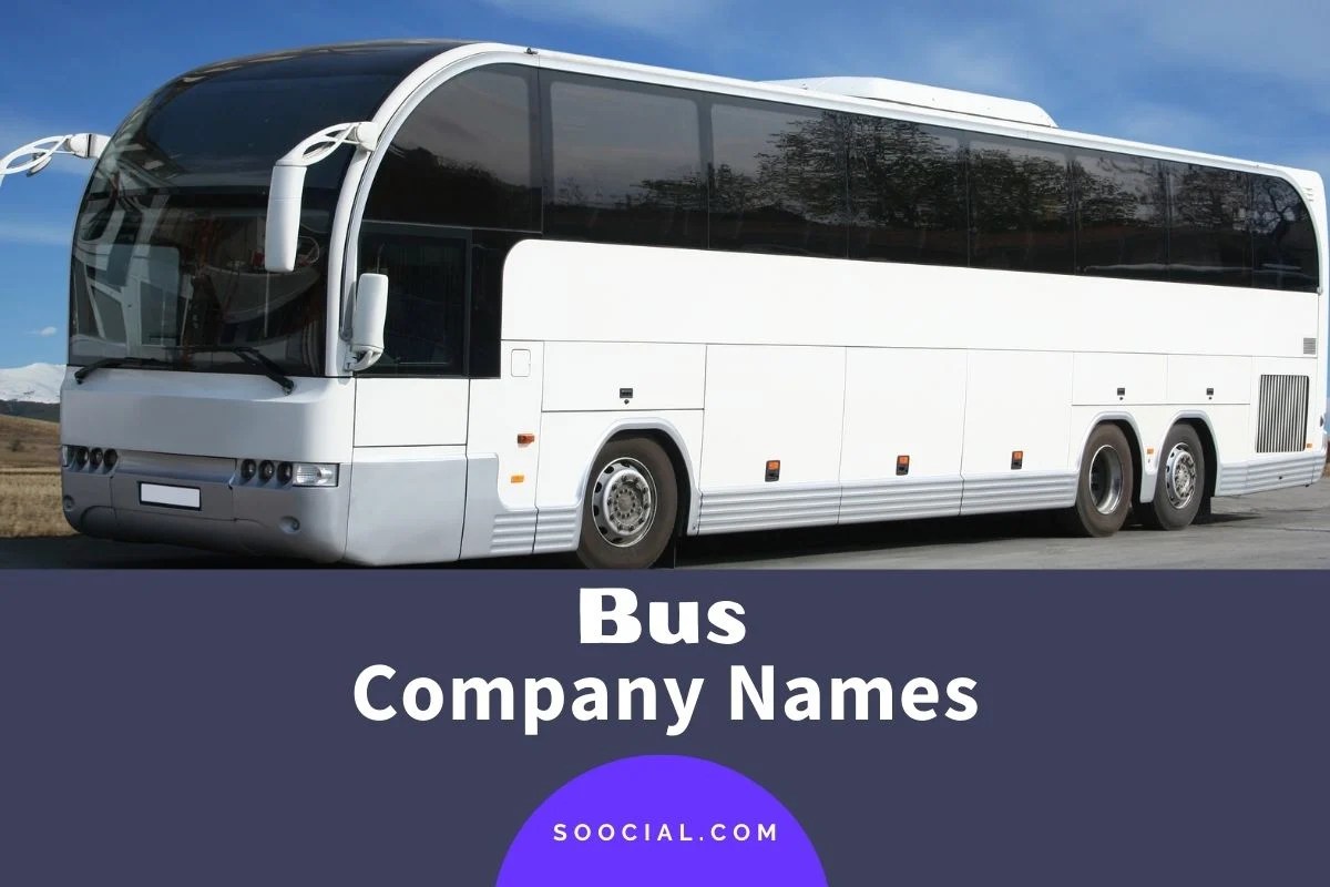 369 Bus Company Name Ideas to Get You Noticed Soocial