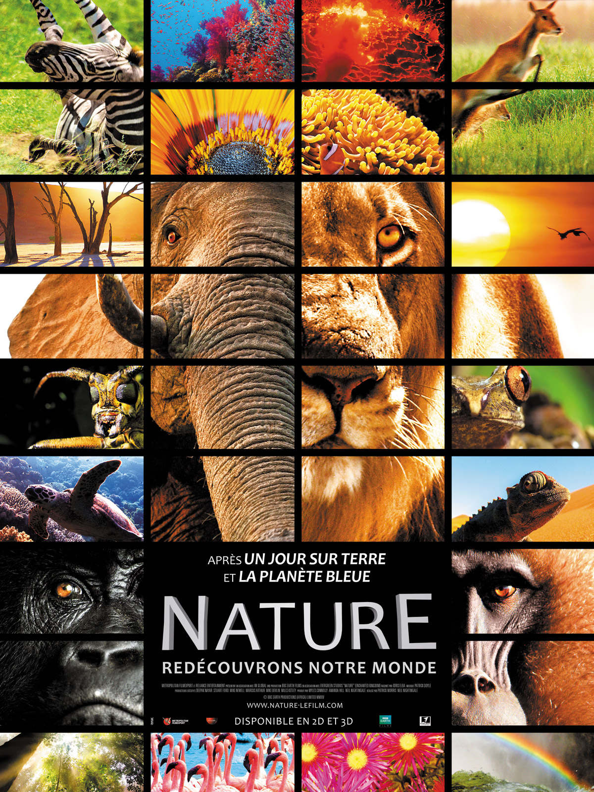 Nature DVD & BLURAY