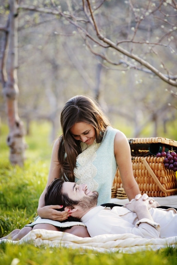34 Picnic Themed Engagement Photo Shoot Ideas SORTRA