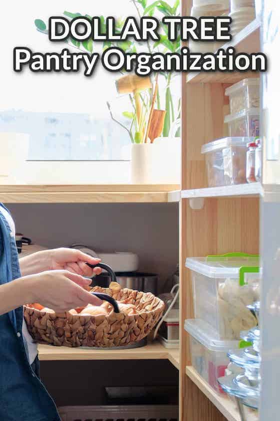 Dollar Tree Pantry Organization Ideas So Simple Ideas