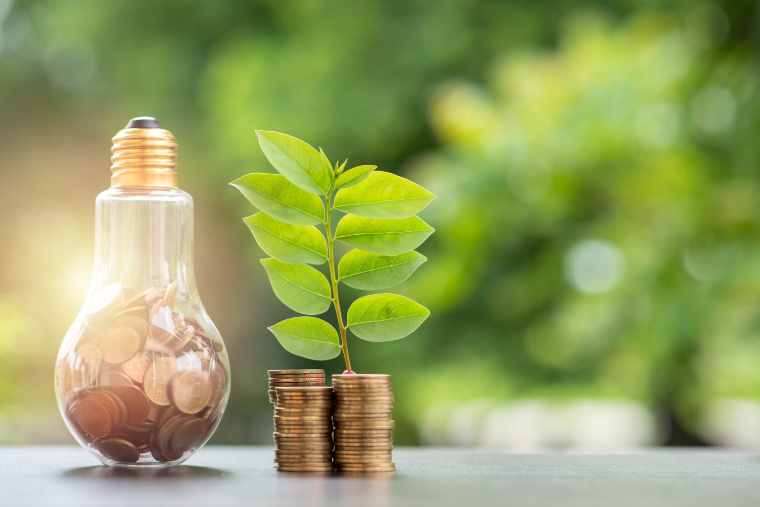How can we immediately net carbon neutral as individuals