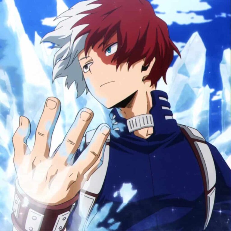 Shoto Todoroki Personality Type, Zodiac Sign & Enneagram So Syncd