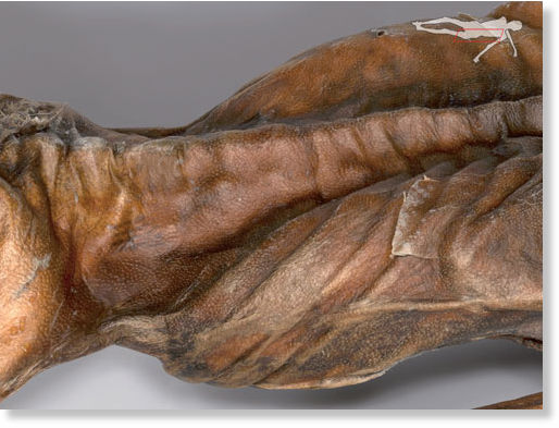 Ötzi the iceman Up close and personal Science & Technology