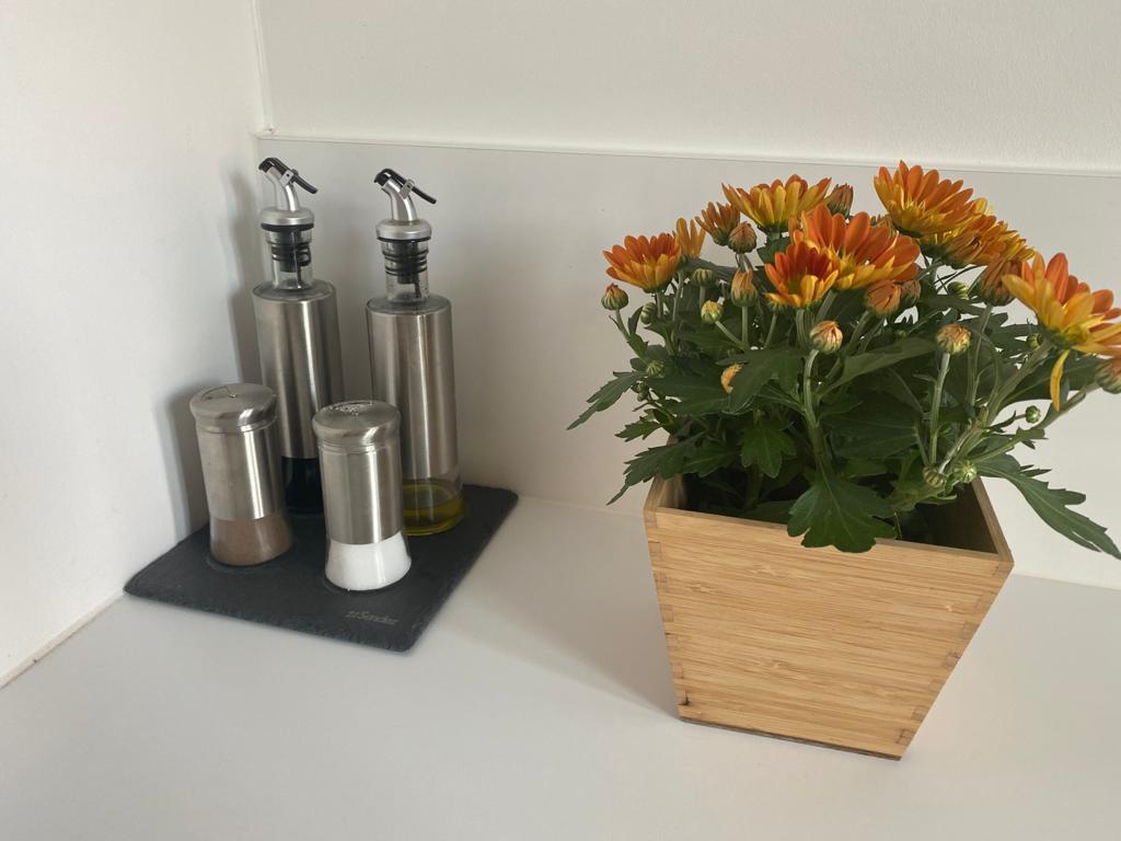 Apartments soulfactory