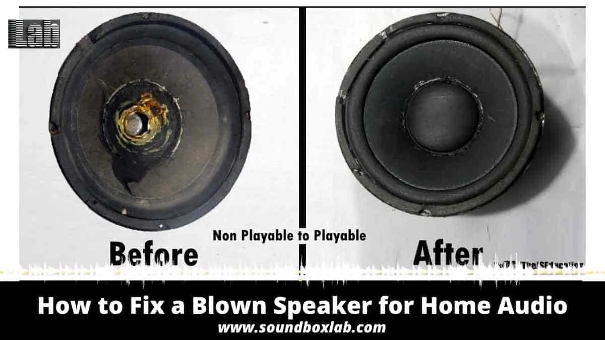 How to Fix a Blown Speaker for Home Audio SoundboxLab
