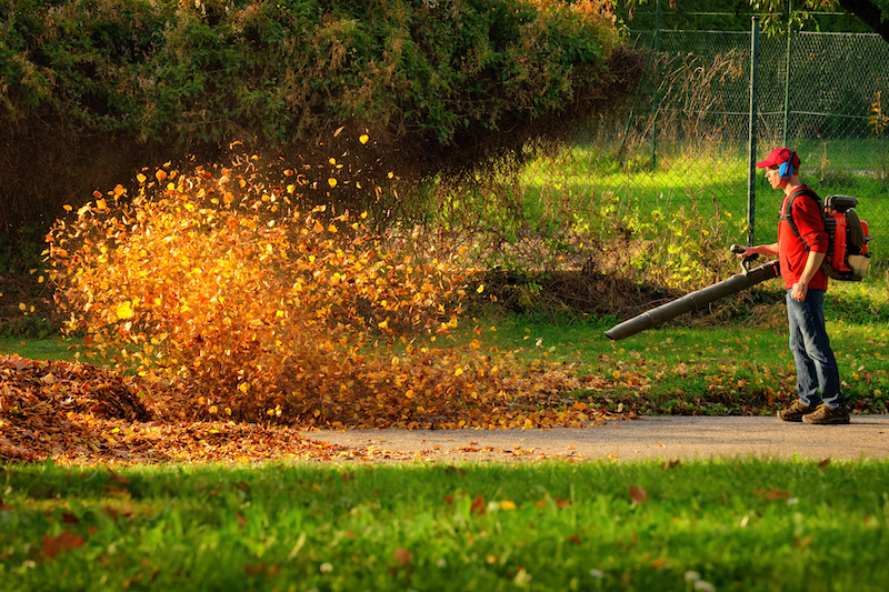 Top 5 Quiet Leaf Blowers in 2021 SoundProofable