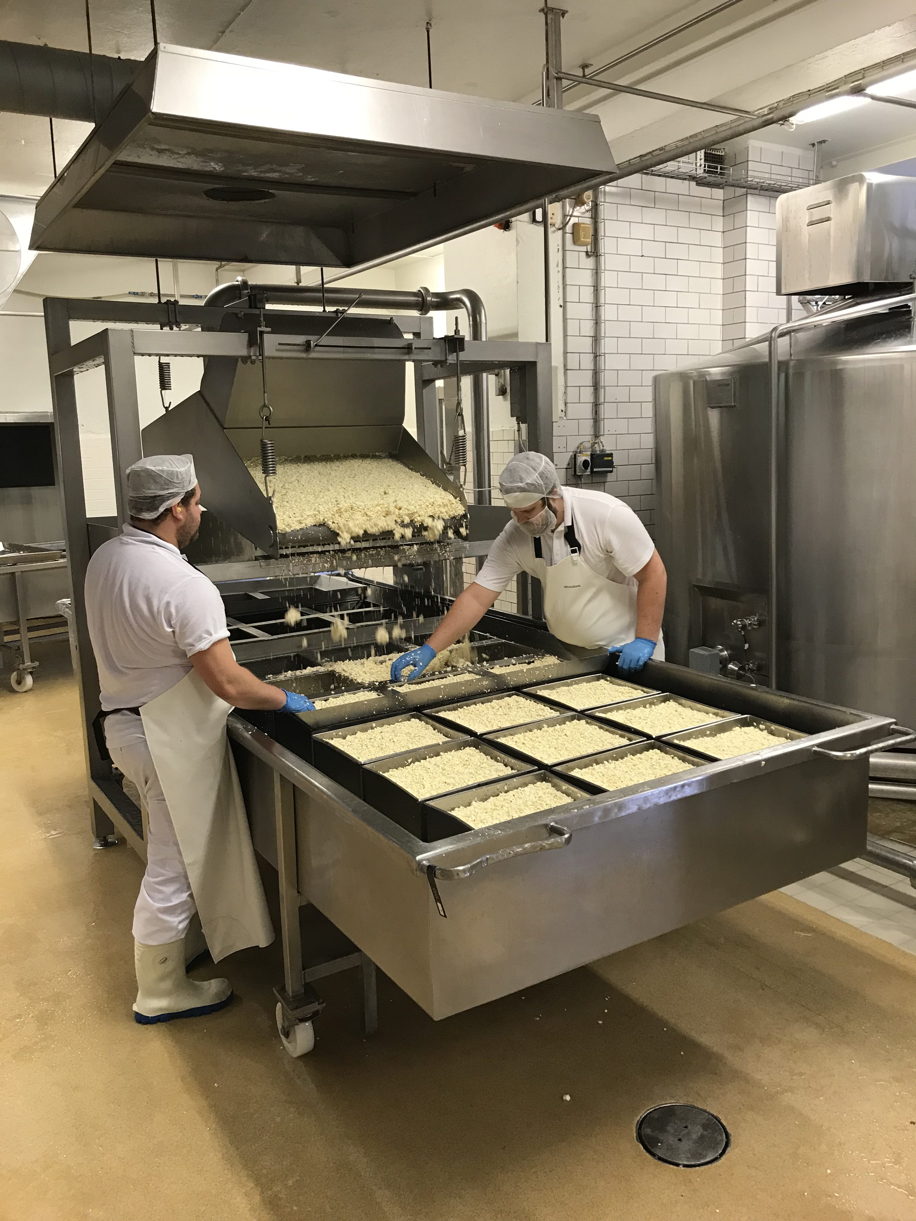 Boxholm dairy Pouring of curd Sounds Of Changes