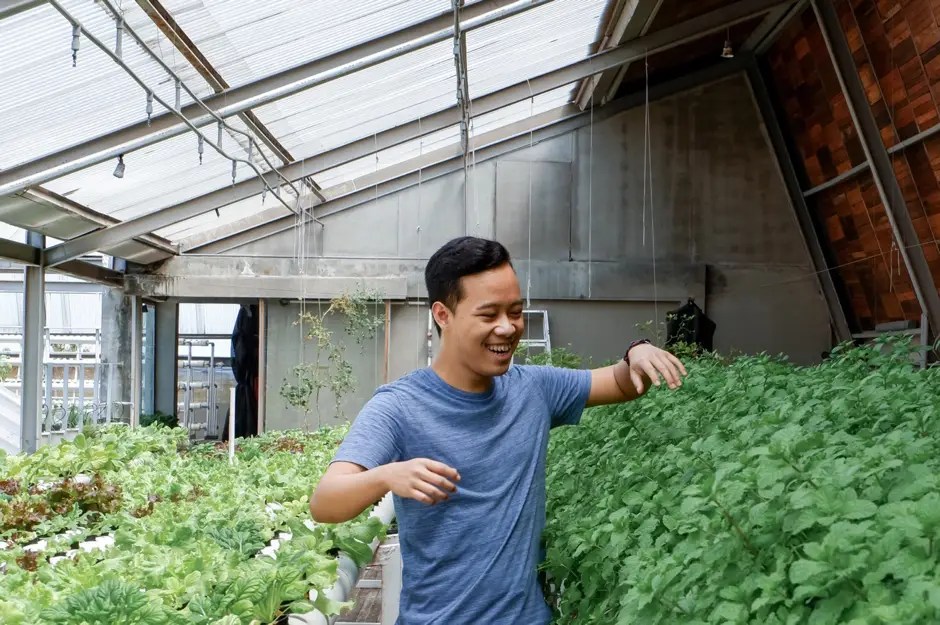 Gardening Indoors vs. Outdoors and Finding Grow Lights