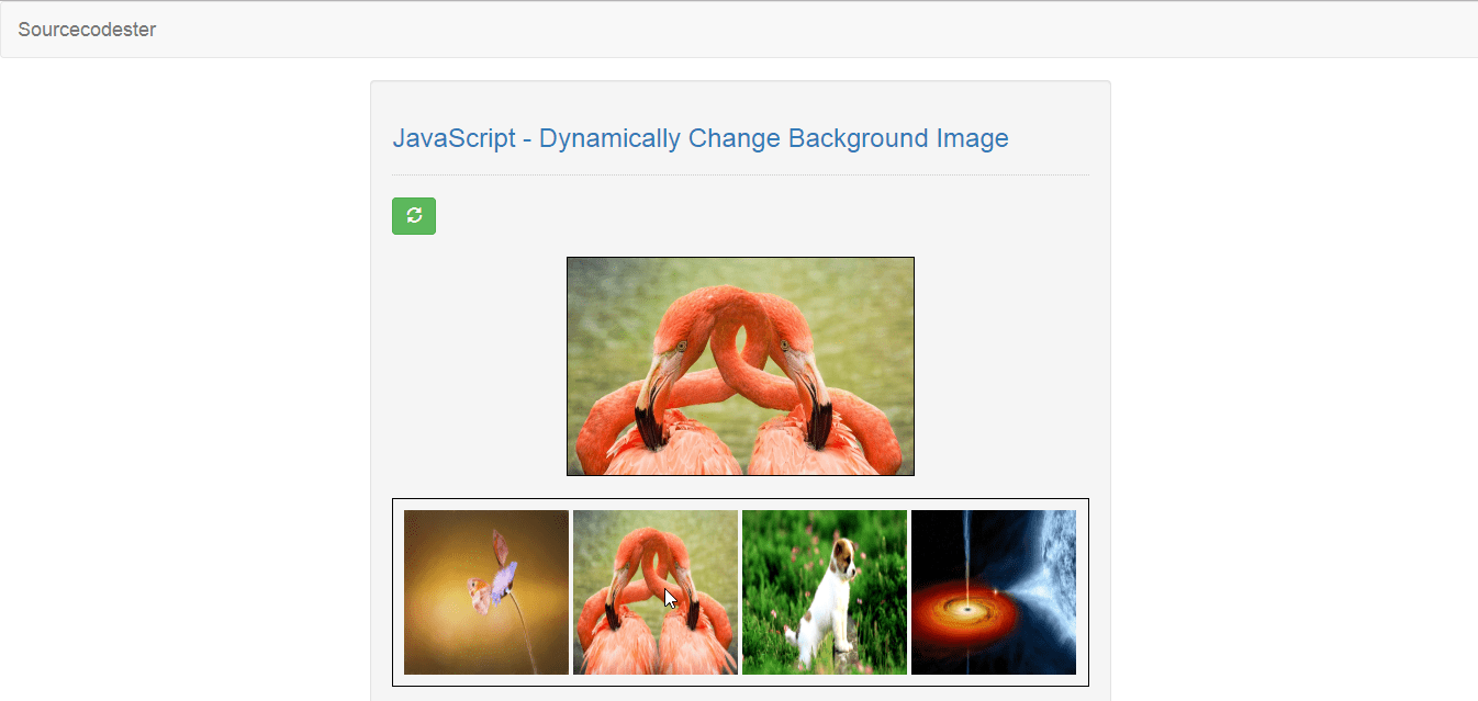 JavaScript Dynamically Change Background Image SourceCodester