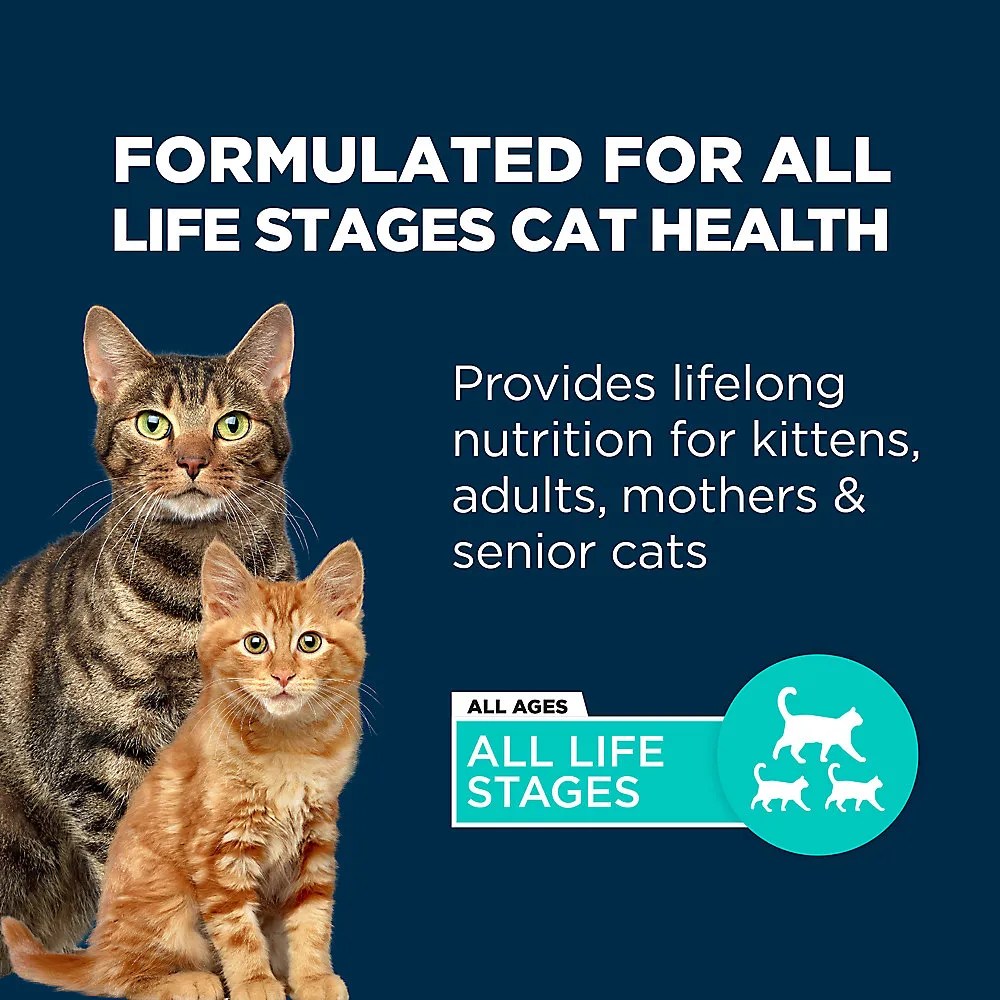 Shop Authority Everyday Health All Life Stages Dry Cat Food Chicken