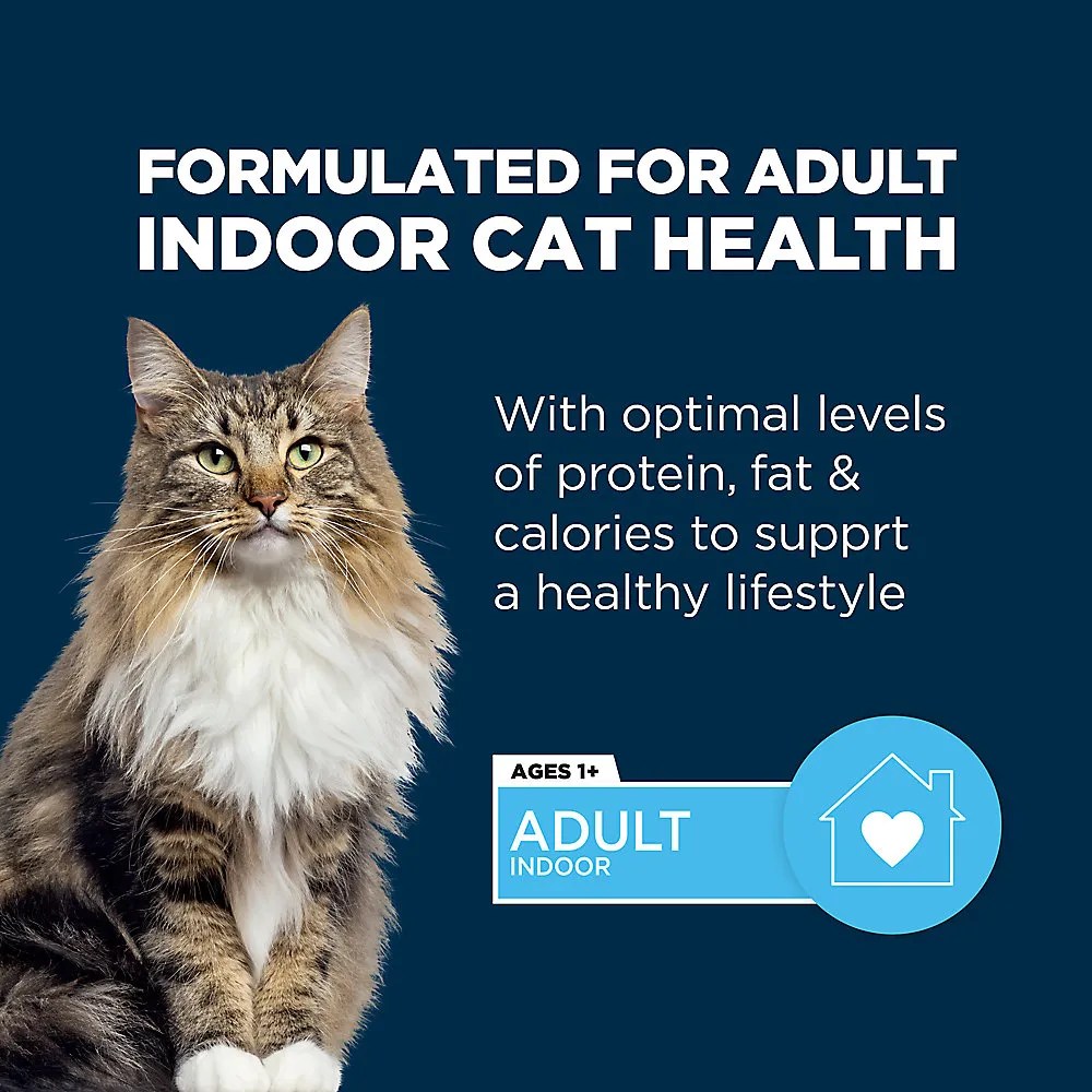 Shop Authority Everyday Health Indoor Cat Dry Food Salmon & Rice