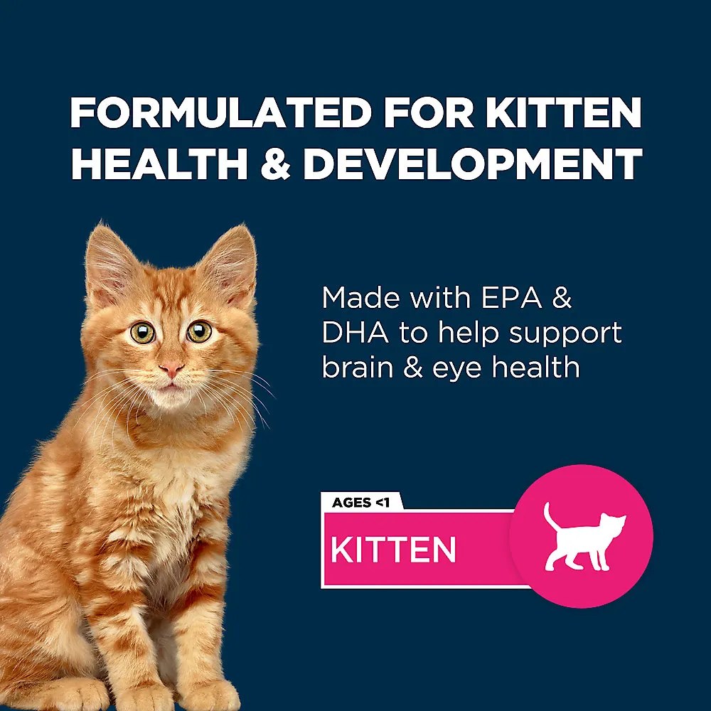 Shop Authority Everyday Health Kitten Dry Cat Food Chicken & Rice