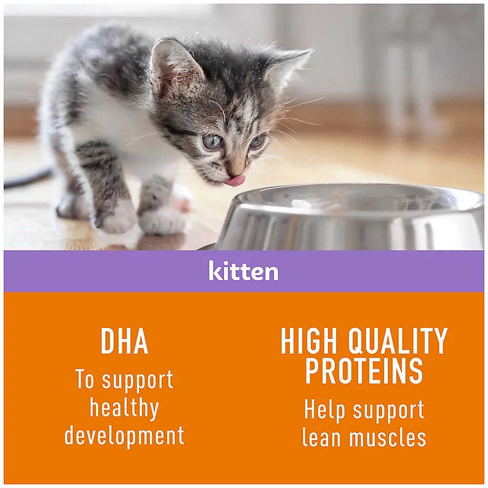 Shop Simply Nourish Source Kitten Cat Dry Food Turkey & Chicken