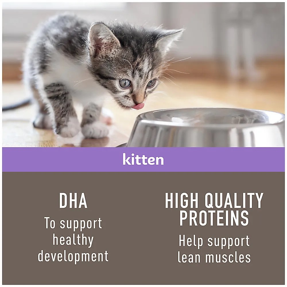 Shop Simply Nourish Original Kitten Cat Dry Food Chicken & Rice