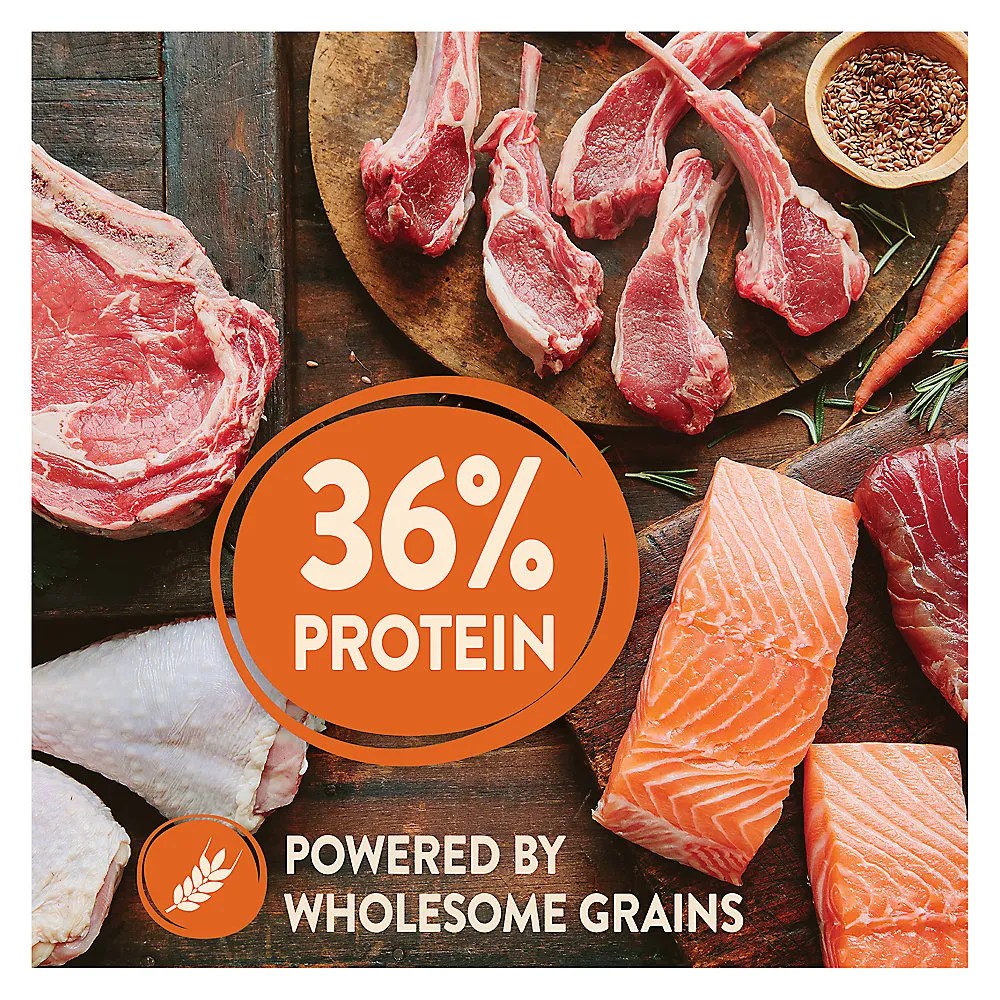 Shop Wellness CORE High Protein WithGrain Puppy Dry Dog Food Chicken