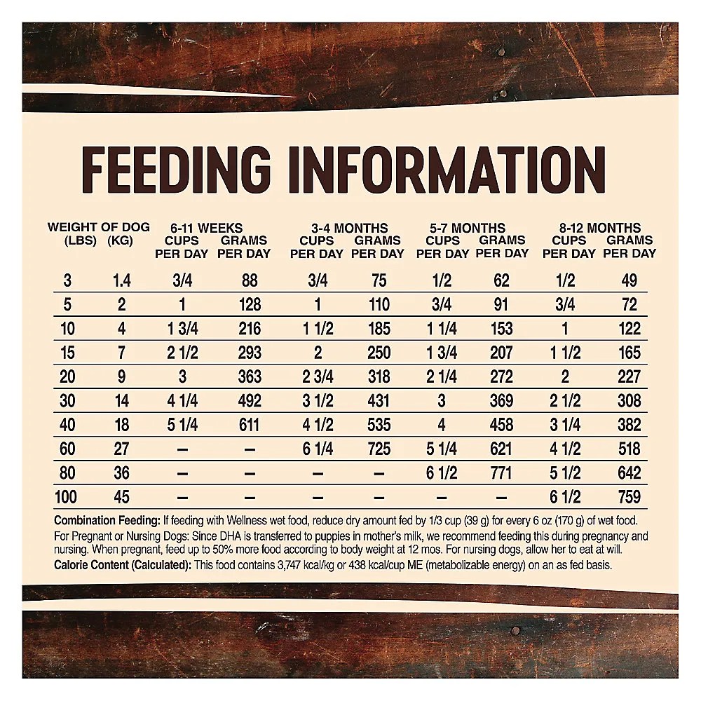 Shop Wellness CORE High Protein WithGrain Puppy Dry Dog Food Chicken