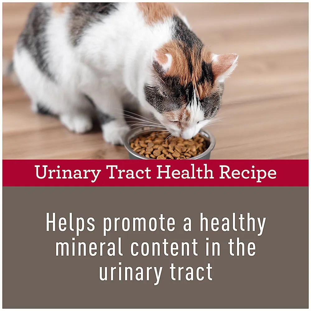 Shop Simply Nourish Urinary Tract Health Cat Dry Food Chicken