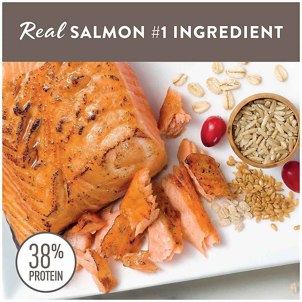 Shop Simply Nourish Original Indoor Kitten Cat Dry Food Salmon