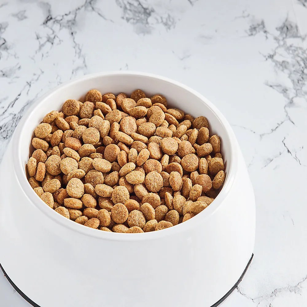 Shop Nutro So Simple Adult Dry Dog Food Non Gmo, Natural, Beef 4Lb