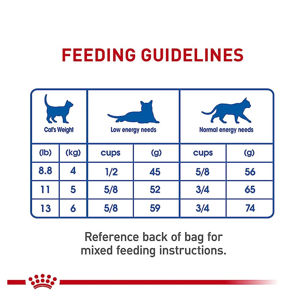 Shop Royal Canin Feline Health Nutrition Indoor Adult Dry Cat Food 3Lb