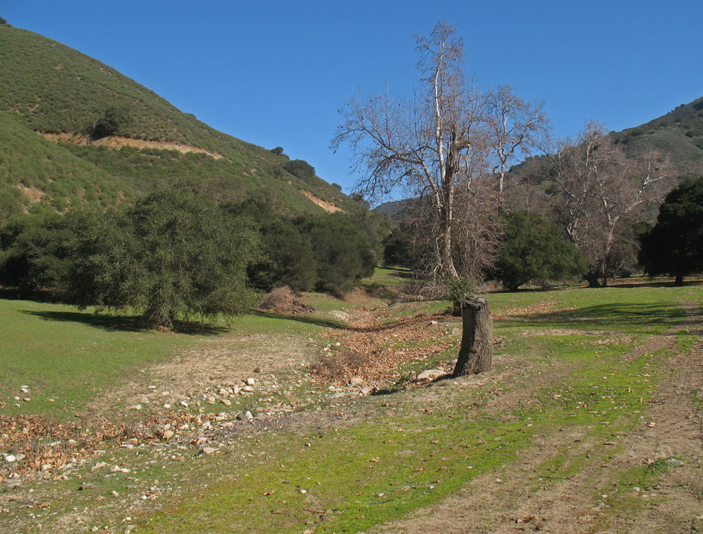 The Chualar Canyon Loop South Bay Riders