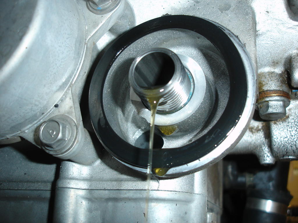 Oil filter hand tight South Bay Riders