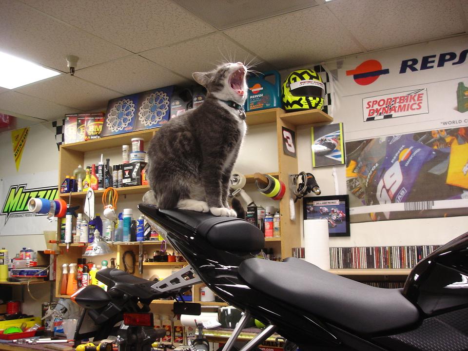 Bypassing charcoal canister on 96 Suzuki gsxr Page 2 South Bay Riders