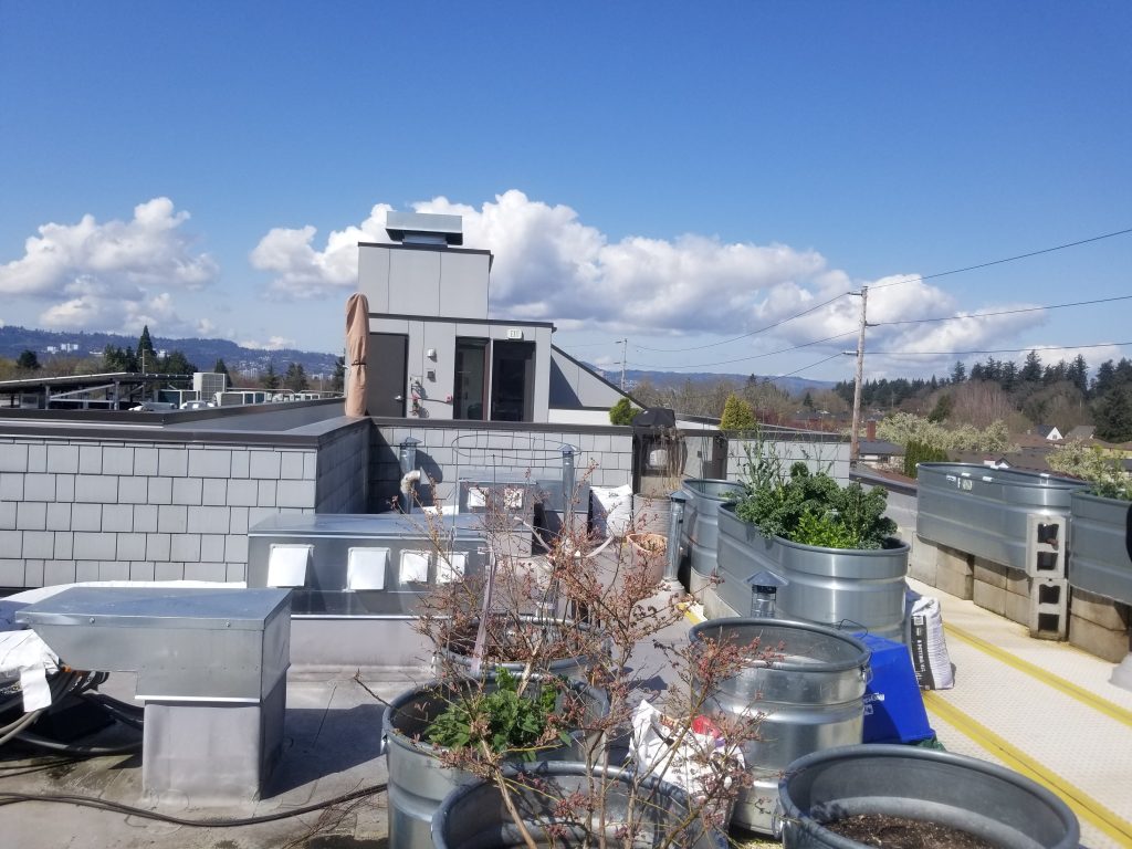 Cohousing Open Houses The Southeast Examiner of Portland Oregon