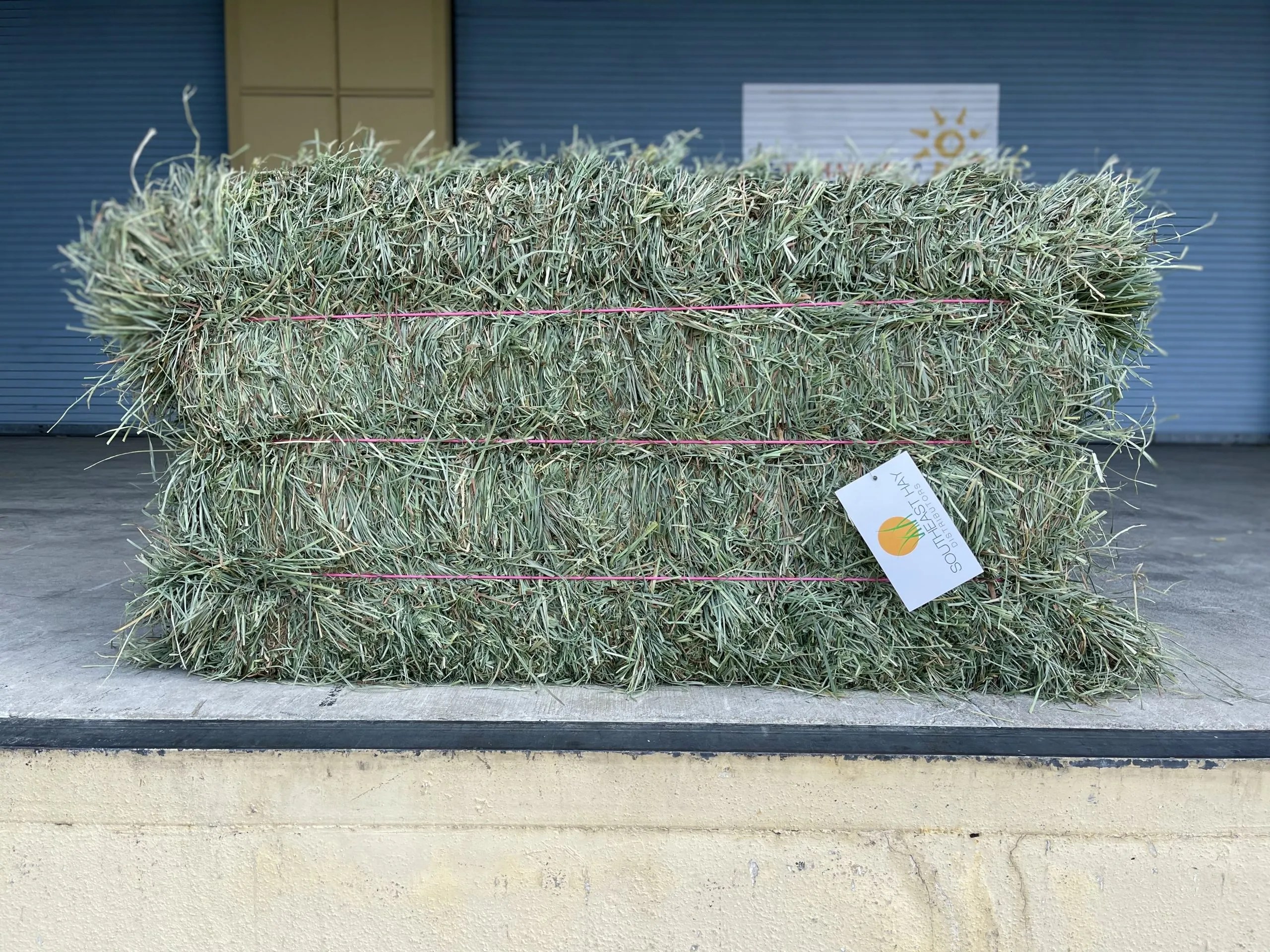 Timothy Hay For Horses