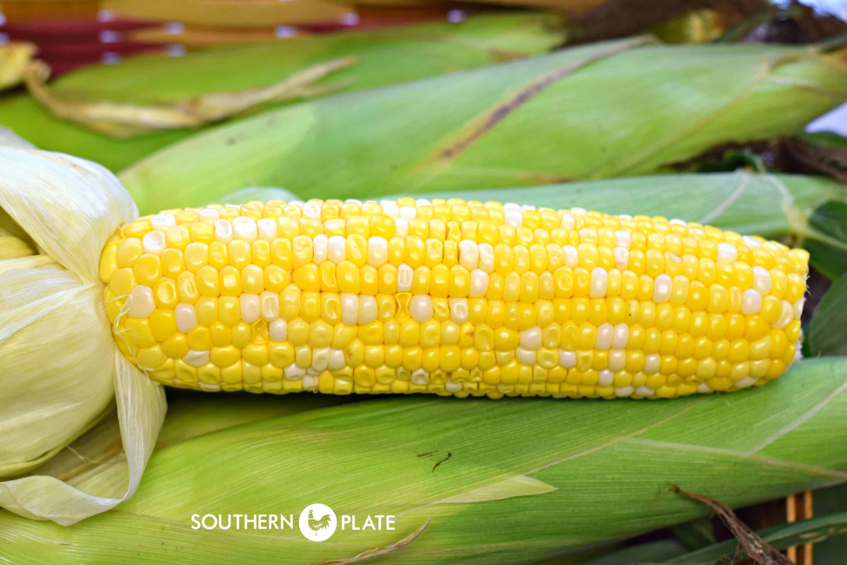Farm Tour and Hands Off Way To Cook Corn! Southern Plate