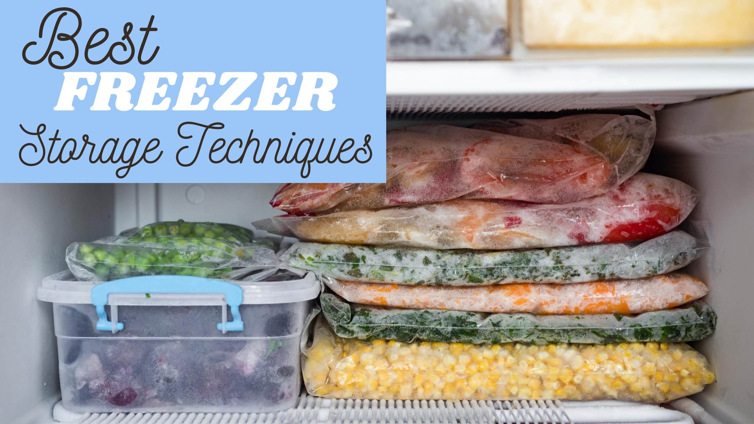 Freezer Storage 101 Freezing Techniques Southern Savers