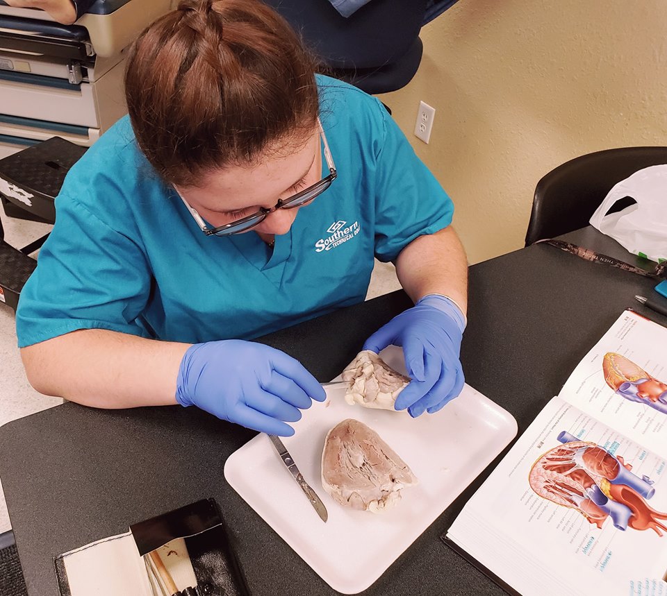 AP Lab Time Southern Technical College