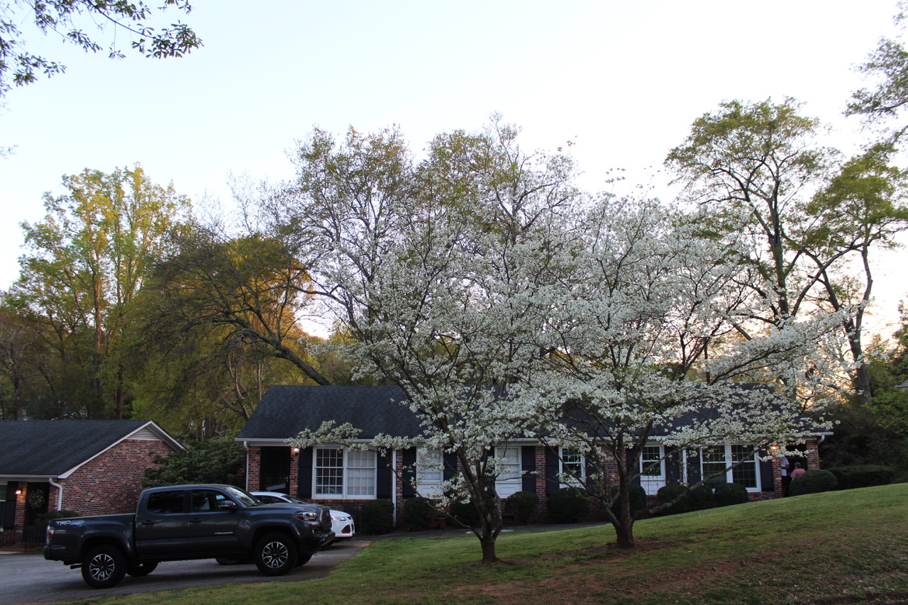 4 B McDaniel Place Condominiums Southland Properties