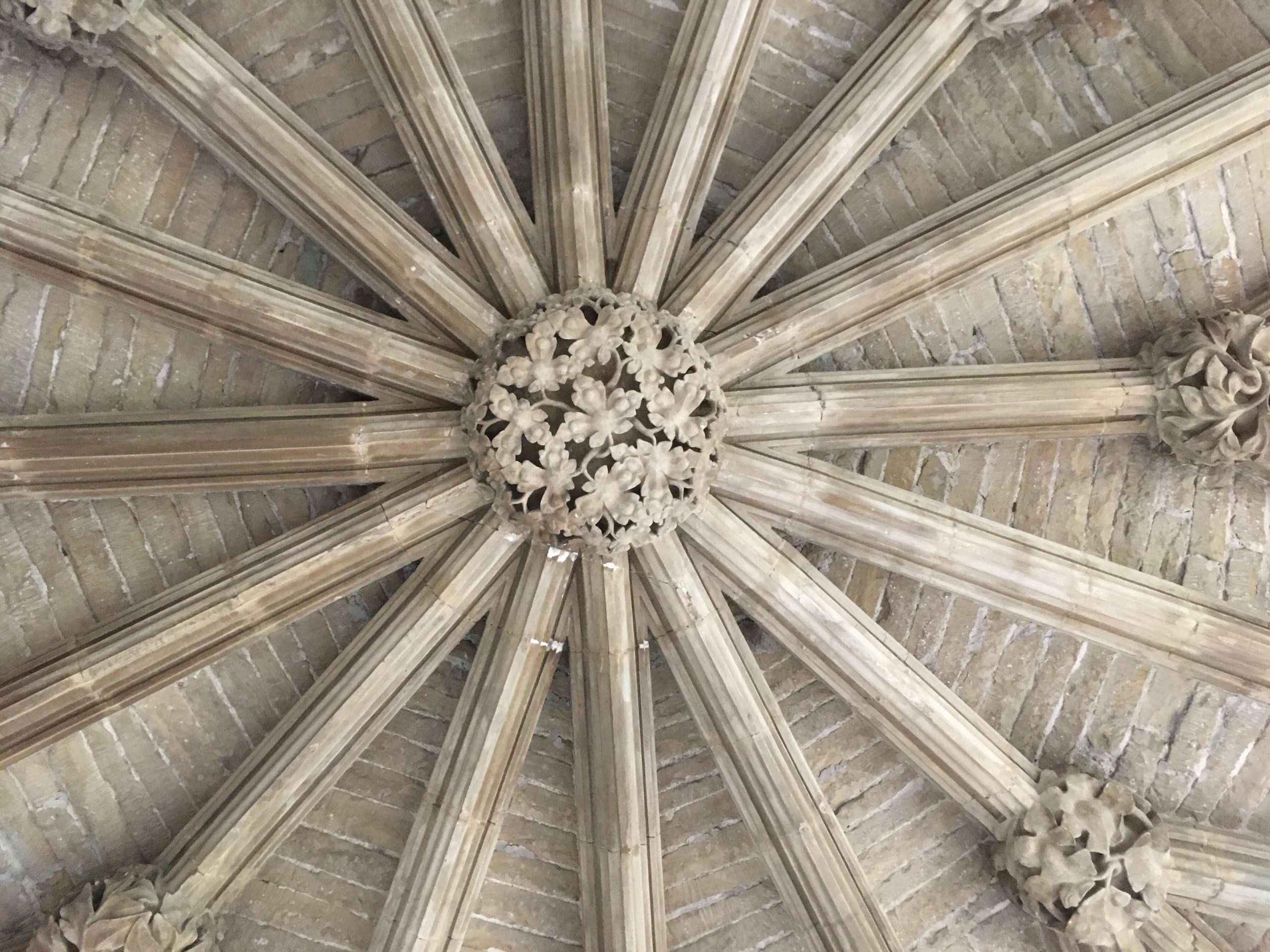 ‘The Leaves of Southwell’ voted the nation’s number one cathedral