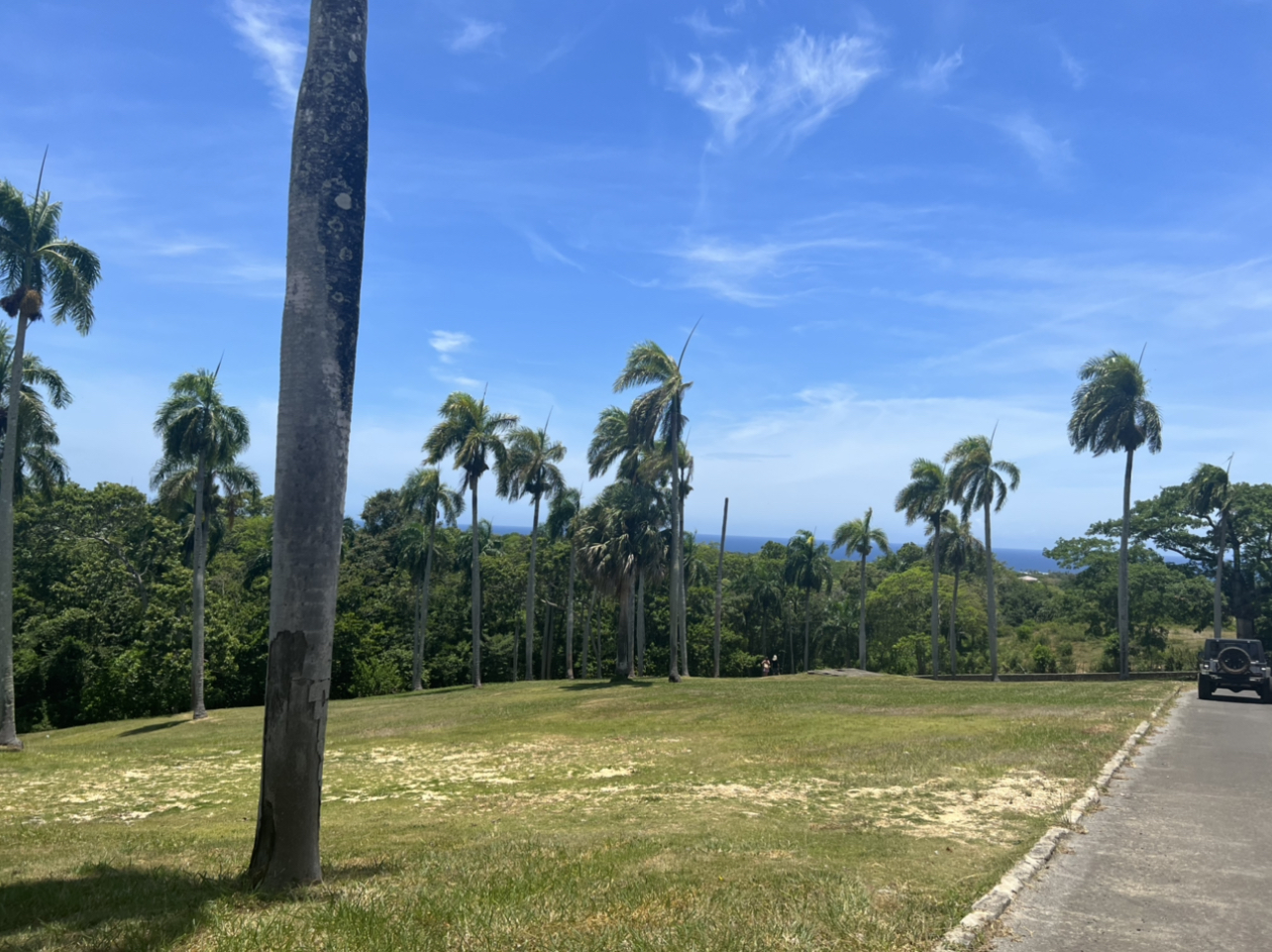 OCEAN VIEW BUILDING LOTS FOR SALE 65 USD Per Meter Sovi Sells DR