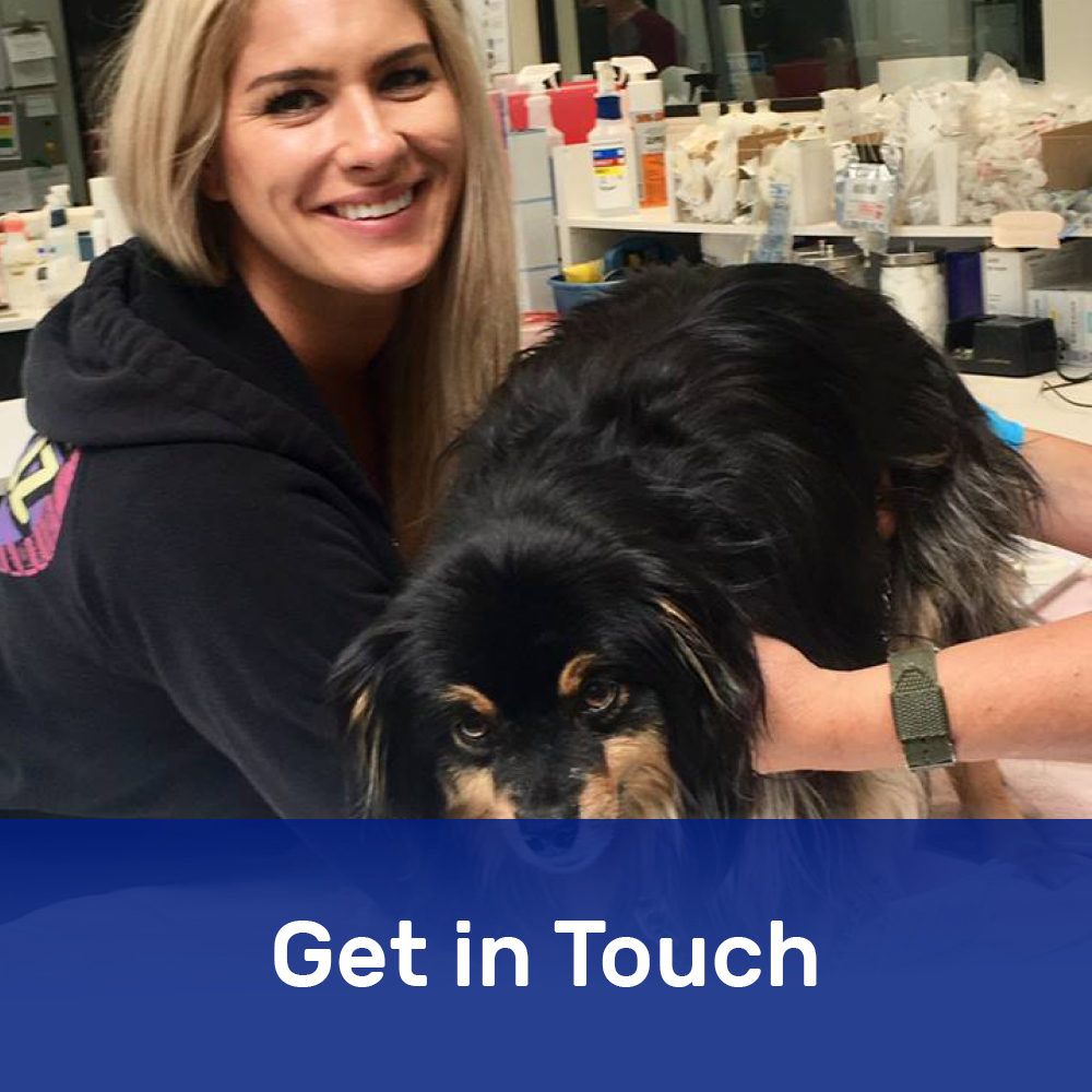 Southern Oregon Veterinary Specialty Center 24 hour Emergency Care