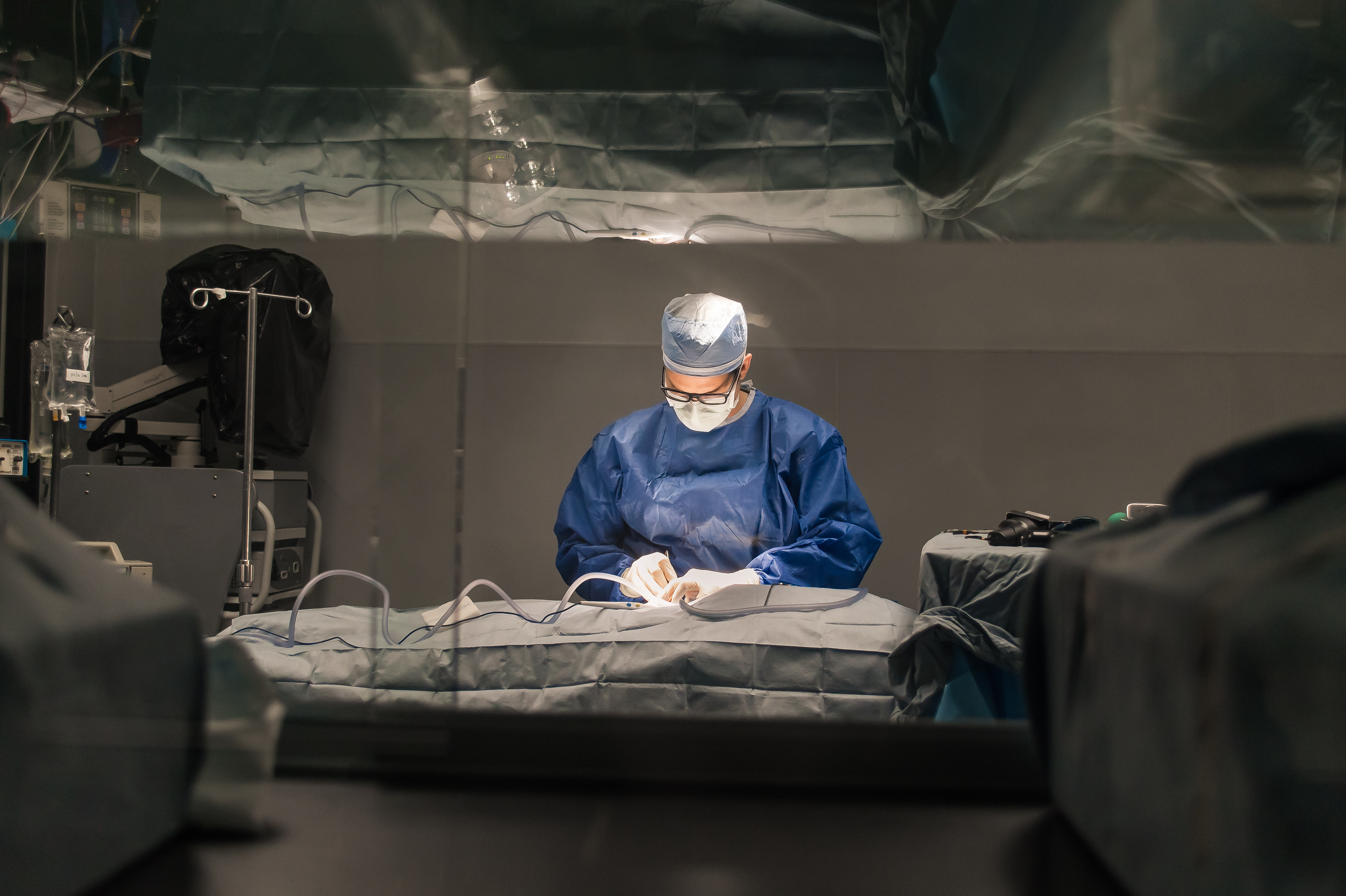 Southern Oregon Veterinary Specialty Center 24 hour