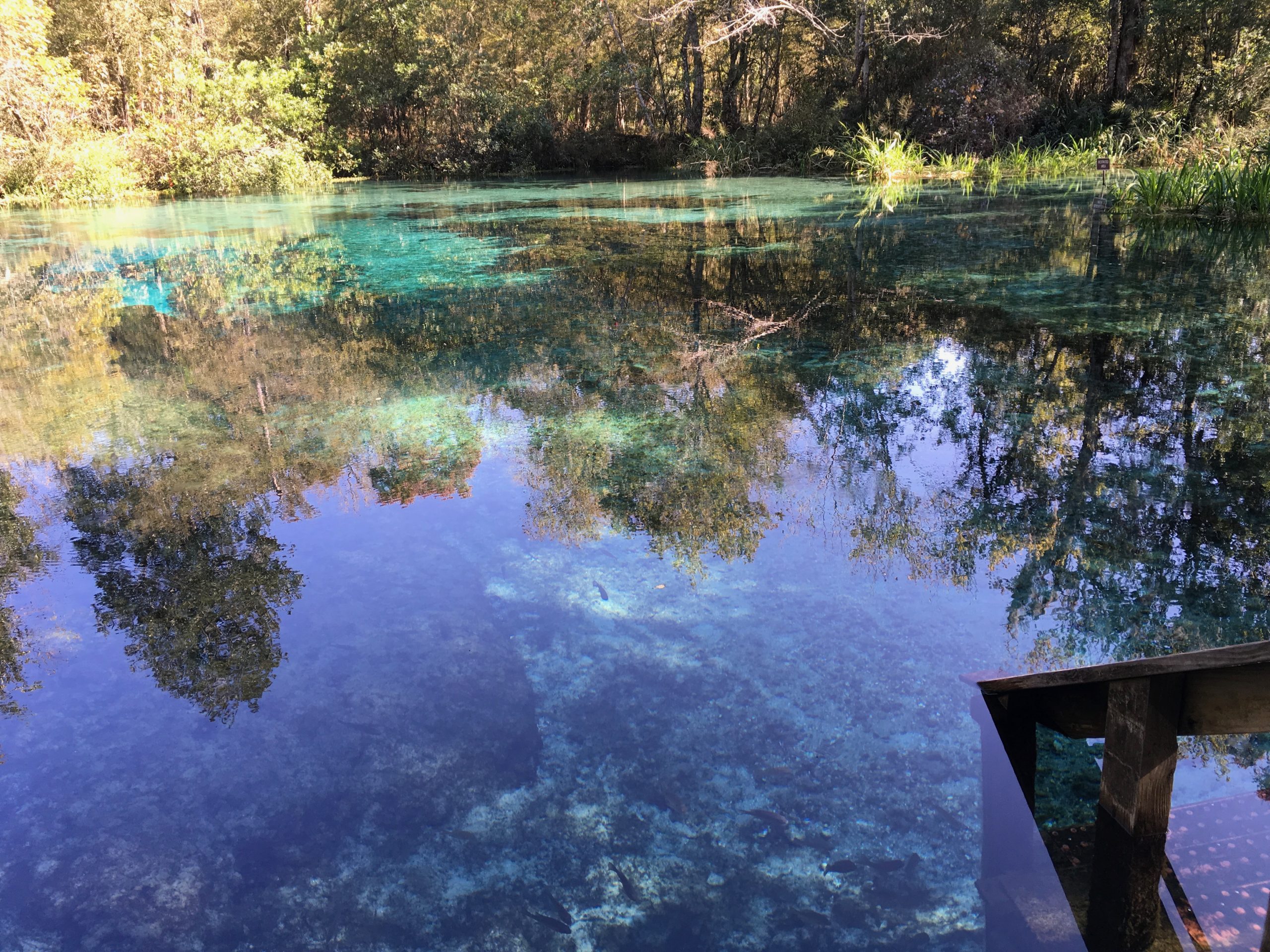 Rum Island erosion issues and solutions SOX Erosion