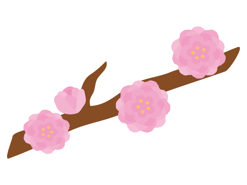 桃の花のイラスト | イラスト無料・かわいいテンプレート