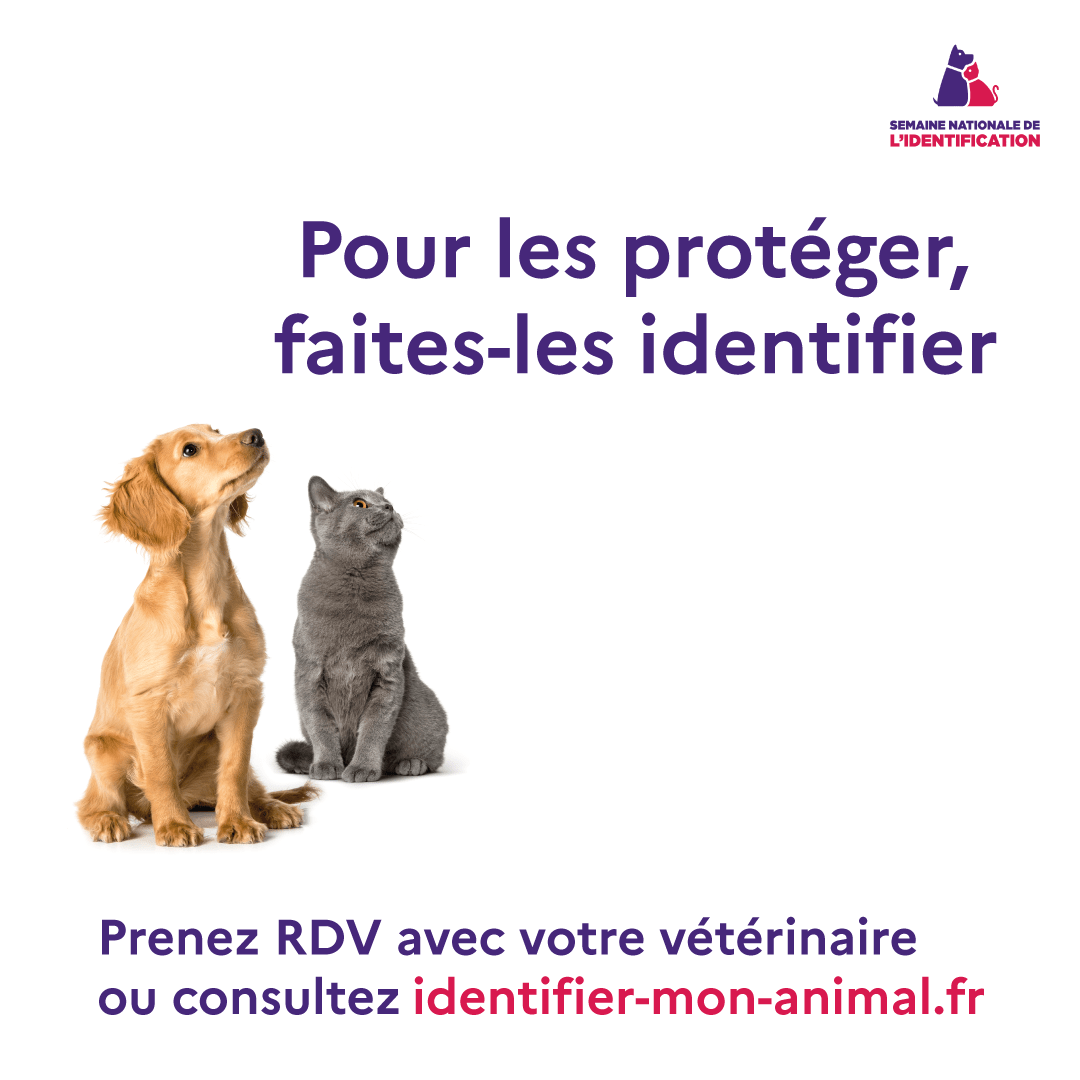 Semaine nationale de l'identification des chiens et des chats SPA de