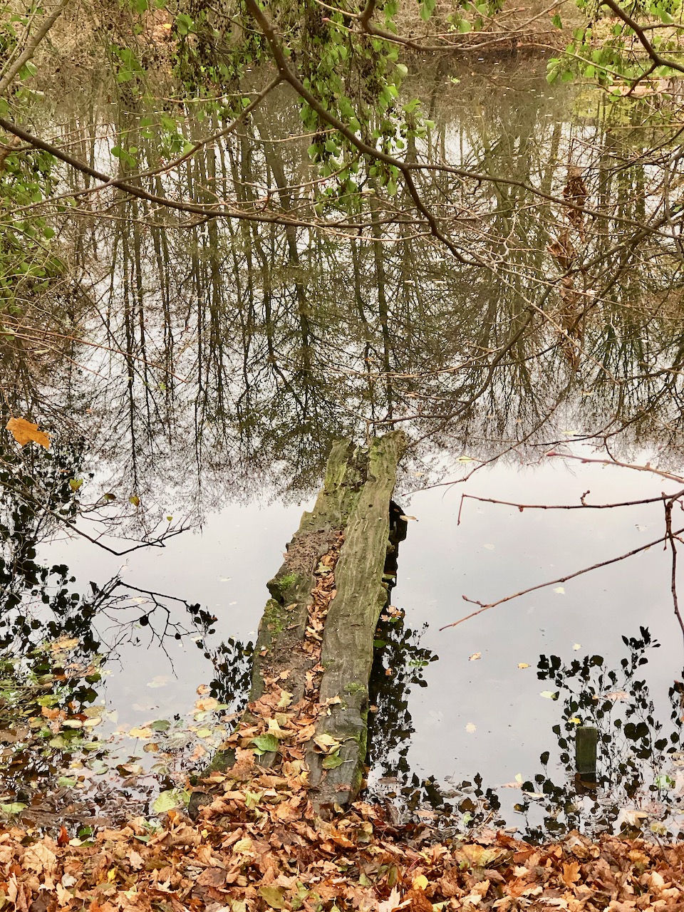 Grüner Ring Hamburg Wandern durch Hamburgs grüne Seiten