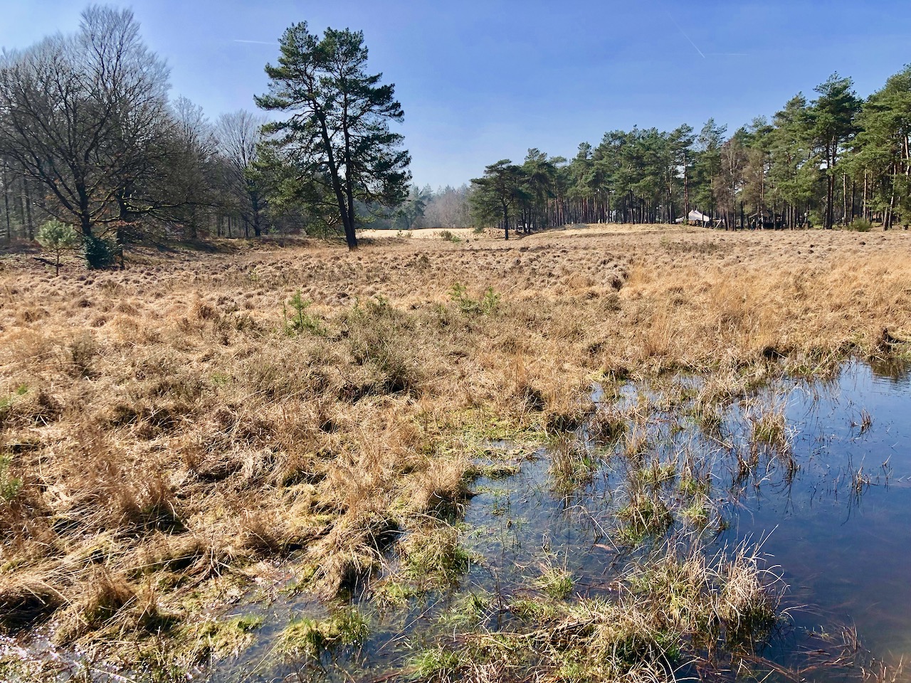 Hoge Veluwe National Park in Holland +++ Hoge Veluwe Nationalpark