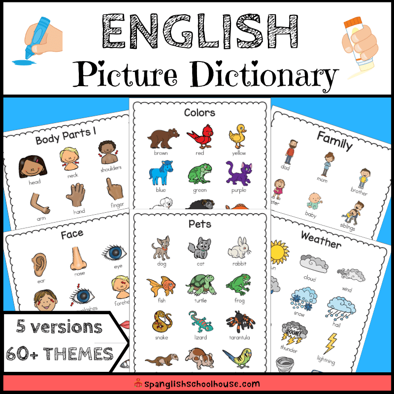 English Picture Dictionary