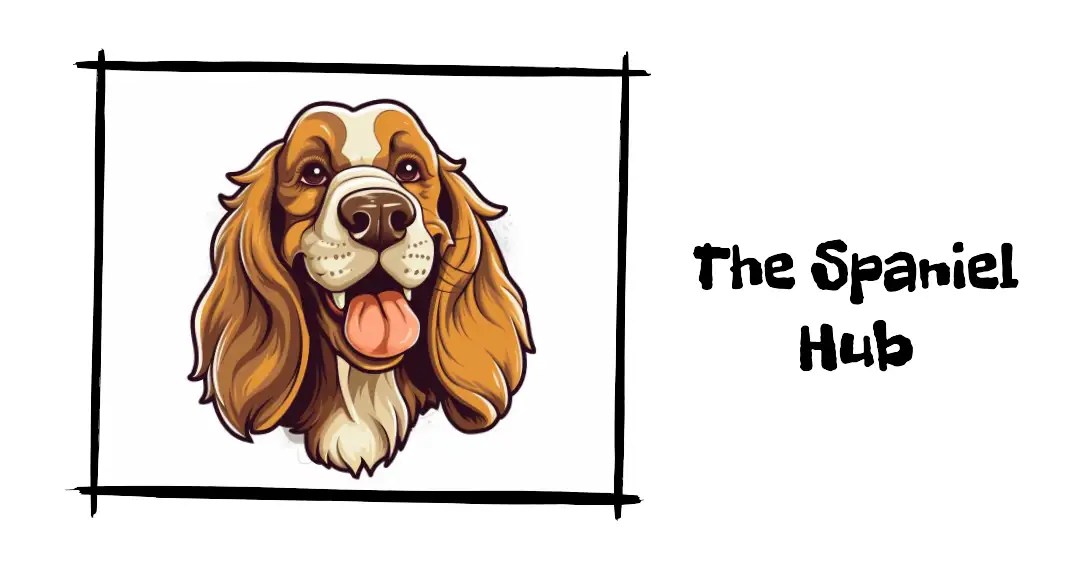 Breeding Archives Spaniel Hub