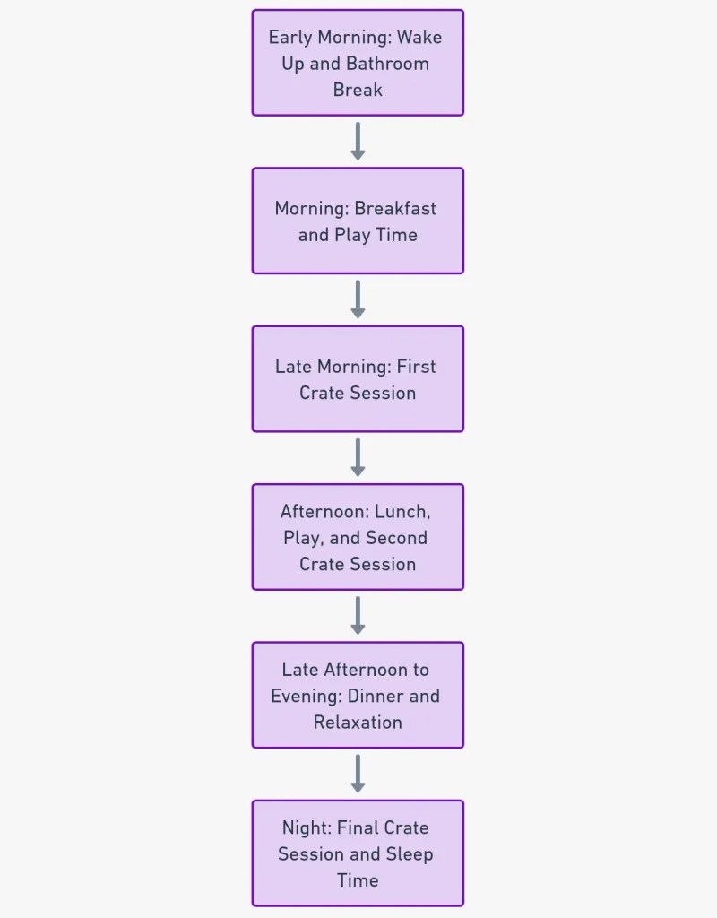 Crate Training Your Cocker Spaniel The Ultimate Guide
