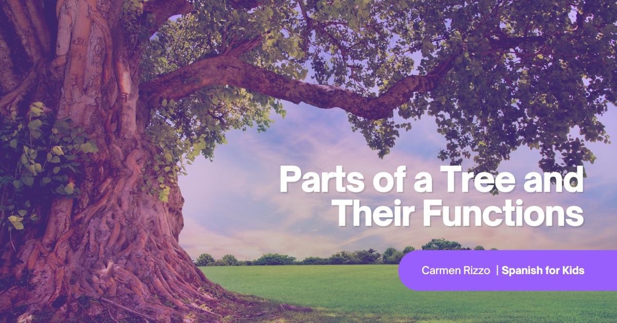 Parts of a Tree and Their Functions (Free Spanish Lessons for Kids)