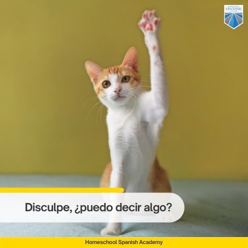 How do you conjugate commands in Spanish? THEKITCHENKNOW