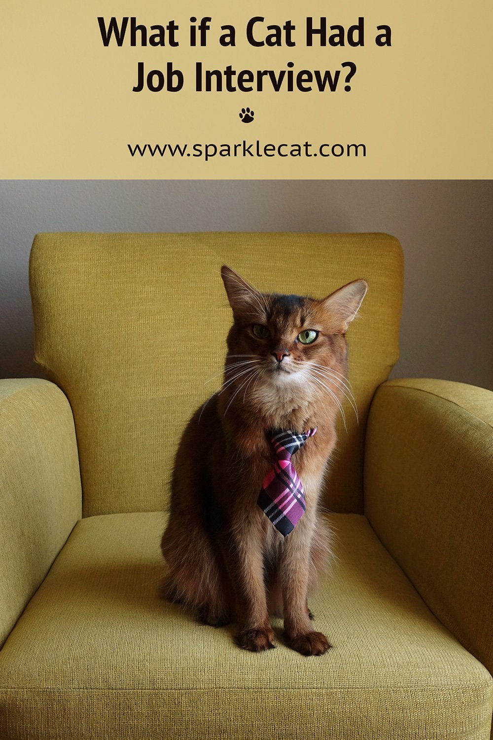 Job Interview Summer’s Fabulous Cat Life