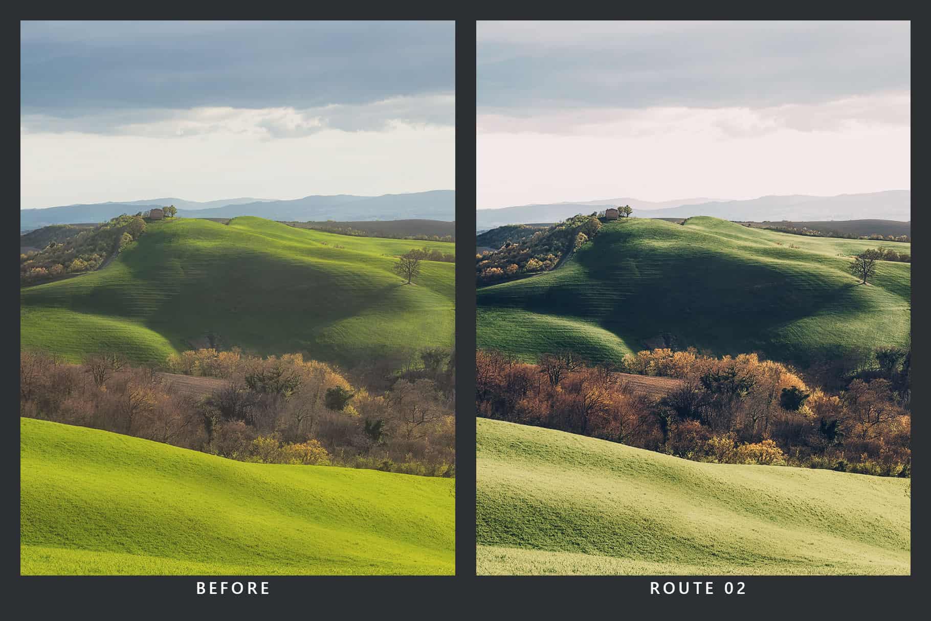 20 Moody Nature Lightroom Presets and LUTs SparkleStock
