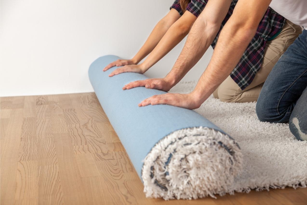 Compare Cut Pile vs. Loop Pile Carpet Sparkling and Beyond